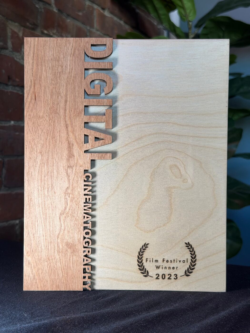 Best in Festival 2023 presented to Shawn Packard