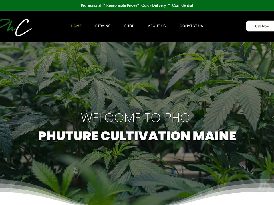 Phuture Cultivation Maine website homepage designed by Red Claw Media